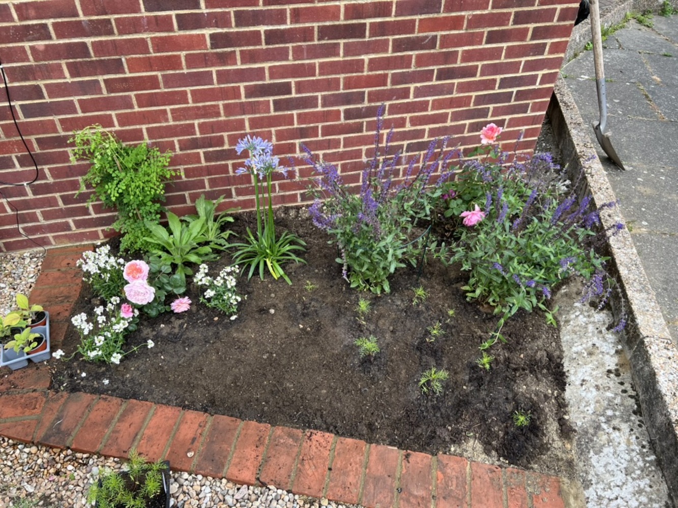 Side border planted