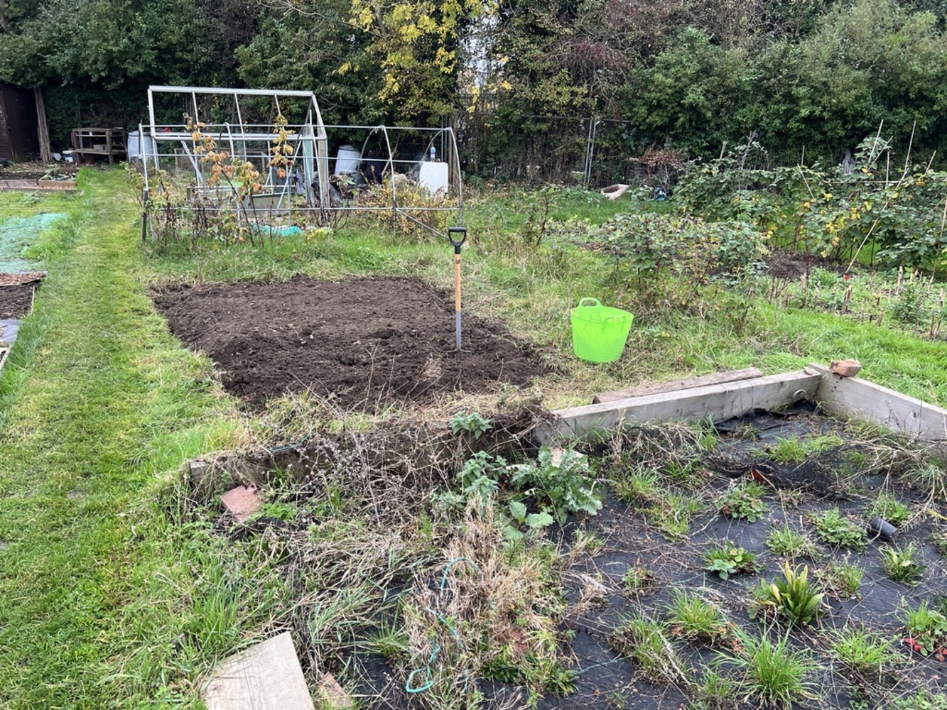 Dug over about 10sqm.