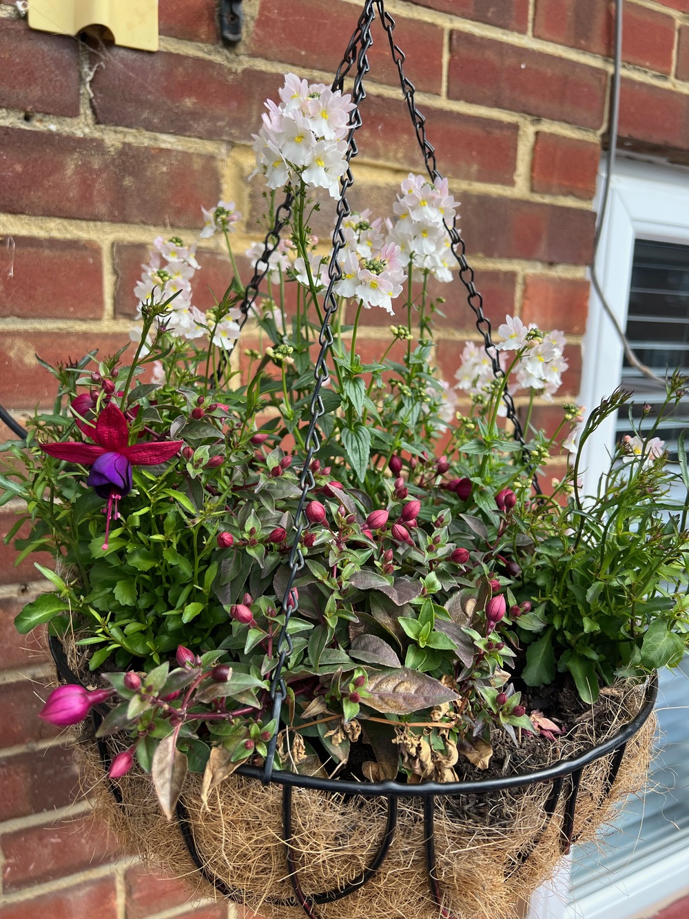 Hanging basket