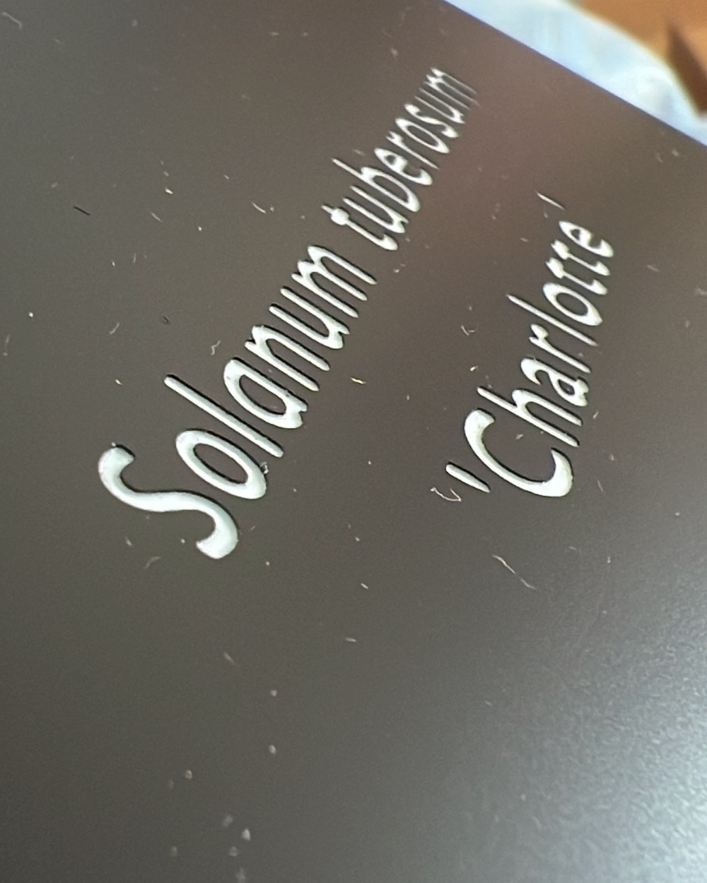 Close-up of rotary engraving